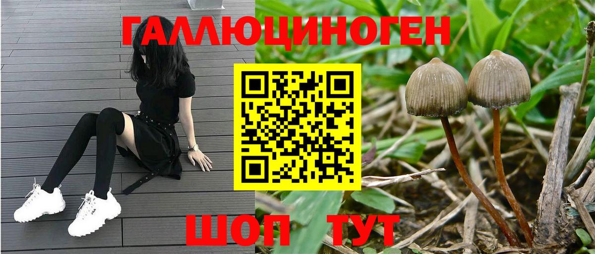 Псилоцибиновые грибы Psilocybe  Псилоцибиновые грибы мицелий  Вход с VPN  Верхняя Пышма 