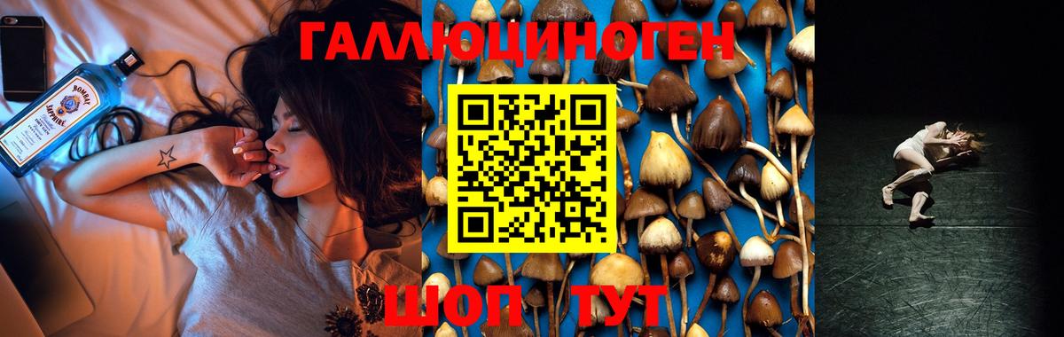 Галлюциногенные грибы Cubensis Верхняя Пышма